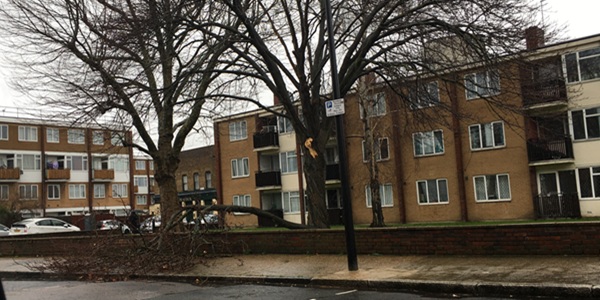 622_Storm damage in Stepney.JPG